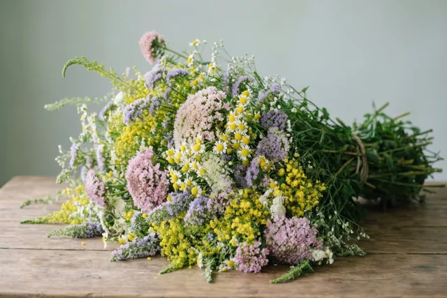 Zachte bloemen, lieve groetjes
