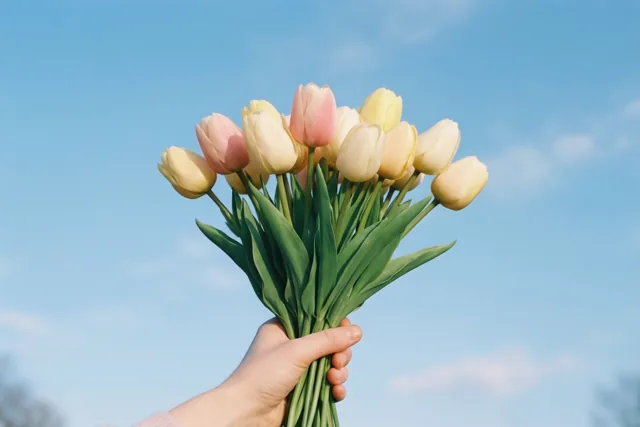 Een handvol tulpen voor jou