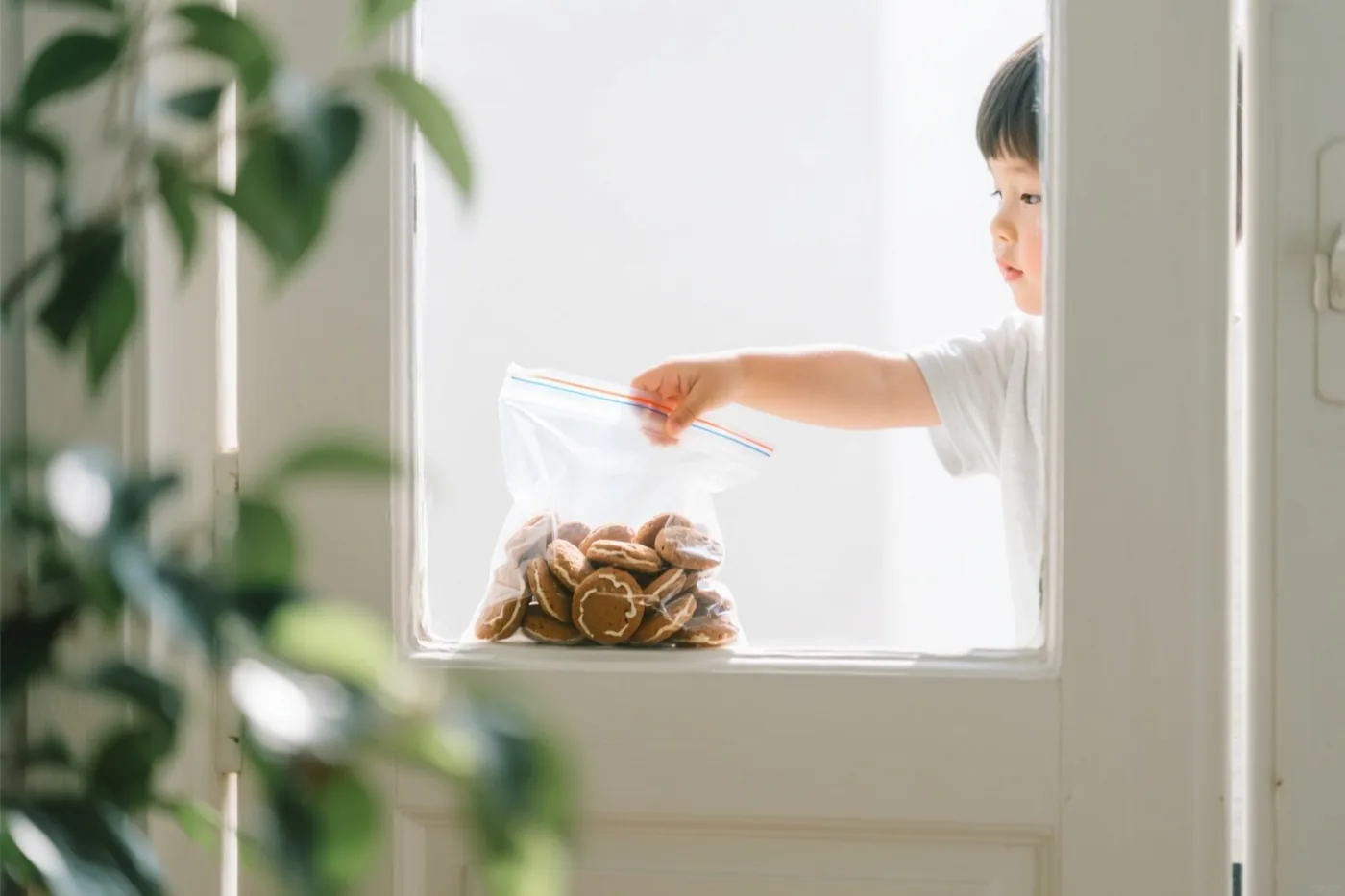 Een kinderhand reikt in een doorzichtige plastic zak pepernoten op een vensterbank, met groen op de voorgrond en een wit kozijn rond het raam.