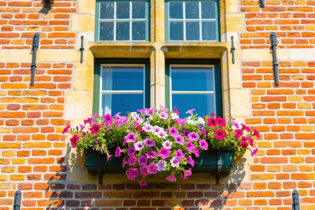 Bloemen aan je ochtendraam