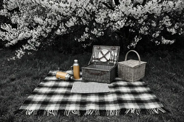 Lentepicknick met een kleuraccent