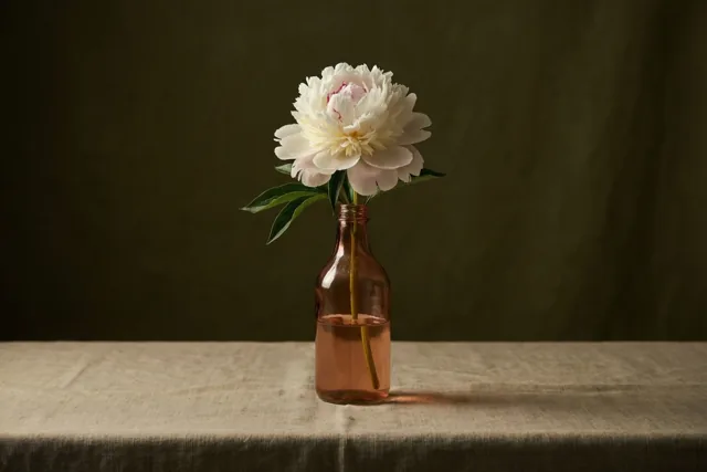 Een bloem, zomaar voor jou