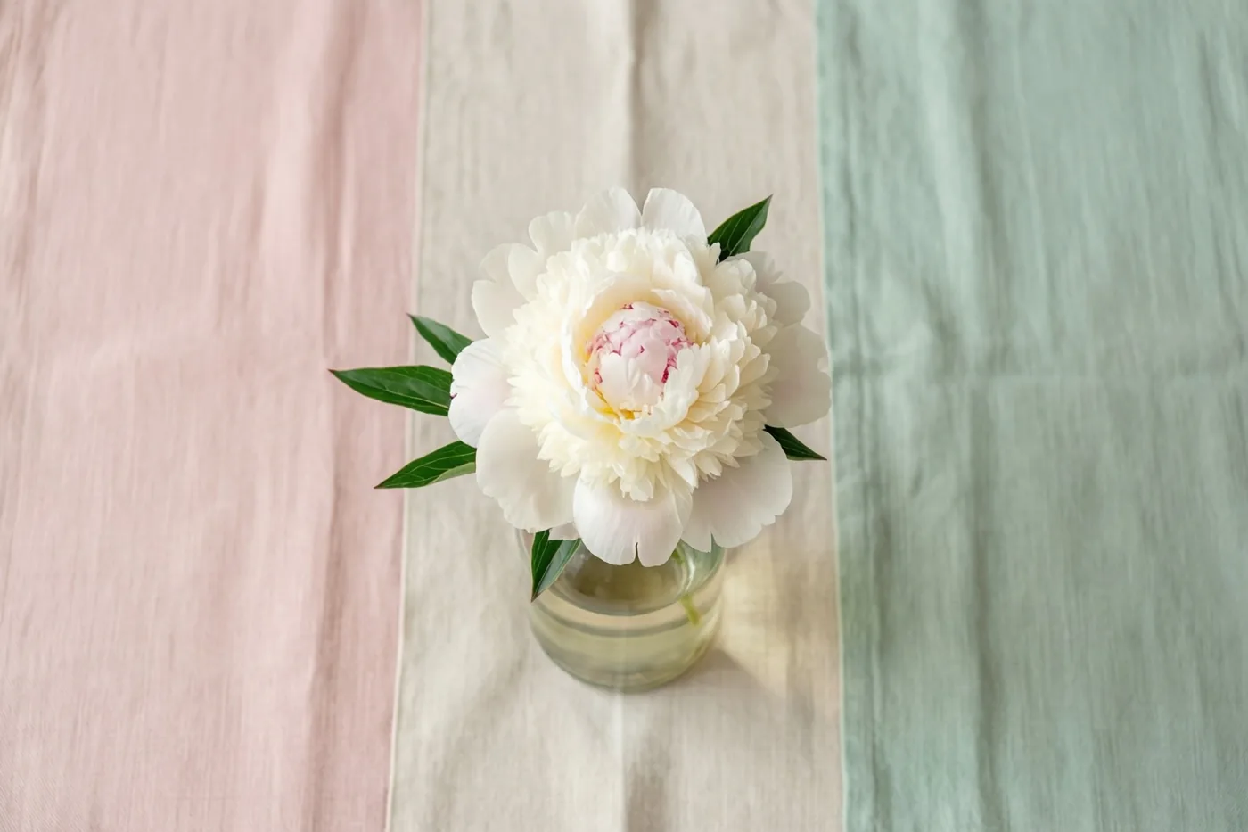 Een witte pioenroos met een roze hart staat in een doorzichtige fles op driekleurig linnen, in een tafereel met pastelroze, crème en mintgroen.