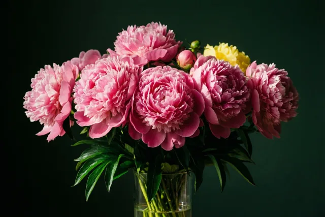 Volop bloemen voor jouw succes