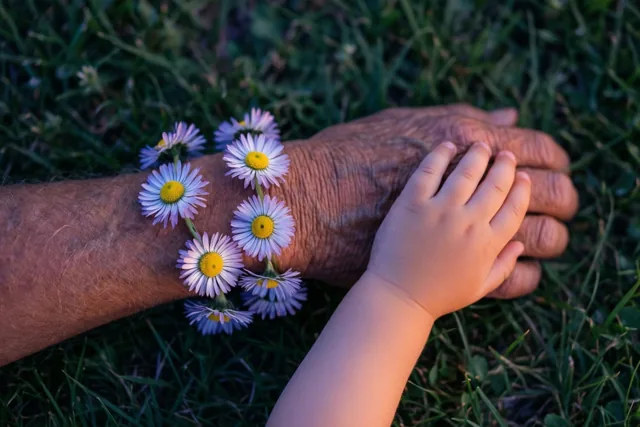 Een gerimpelde pols van een oudere persoon en een kinderpols rusten samen op groen gras, met een madeliefjesketting over de volwassen pols in zacht, warm licht.