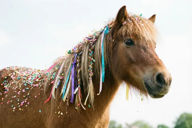 Carnaval in de manen