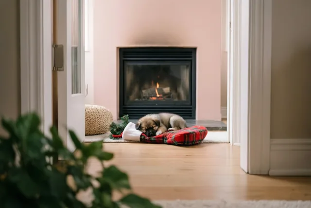 Een kerstslaapje voor de puppy
