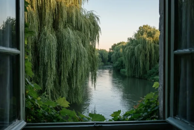 Een zomeravond om te delen