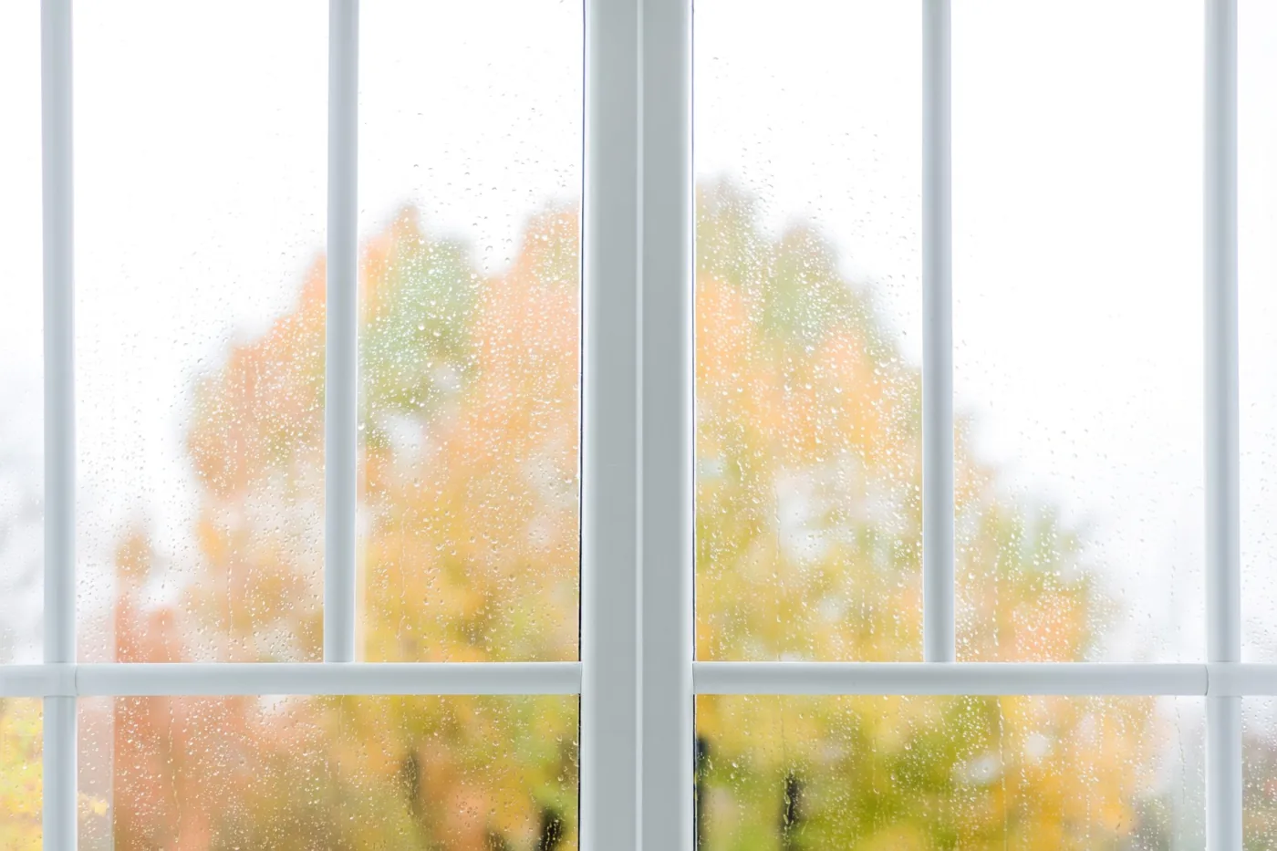 Regendruppels bedekken een raam met een wit kader, met wazige herfstbomen buiten in zachte tinten.