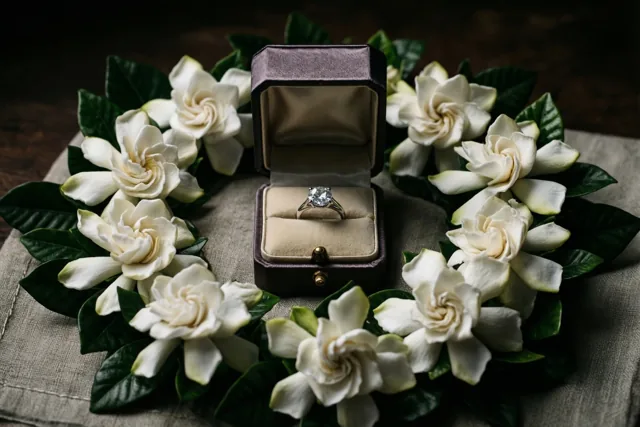 Gardenia’s rond jullie belofte