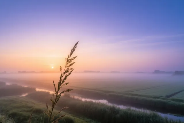 De polders worden wakker