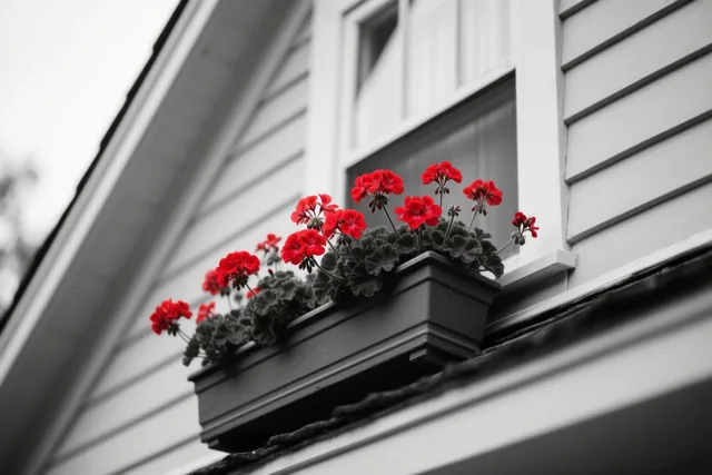Bloemen die eruit springen