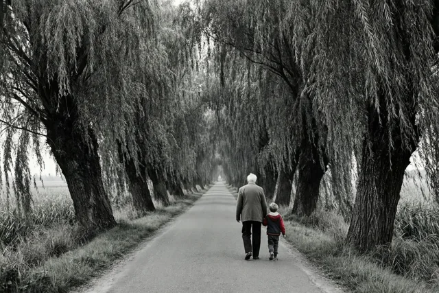 Een oudere persoon en een klein kind lopen van de kijker weg over een verharde weg met knotwilgen, op een zwart-witfoto met een rood accent op de jas van het kind.