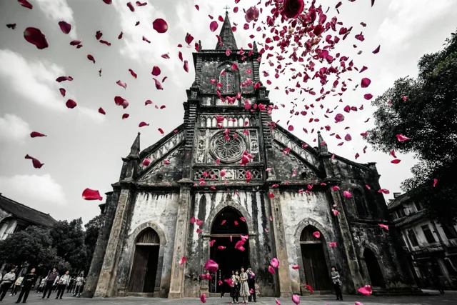 Vanuit een laag standpunt zijn felrode rozenblaadjes te zien die voor een verweerde gotische kerk vallen, onder een bewolkte lucht met mensen in de verte.