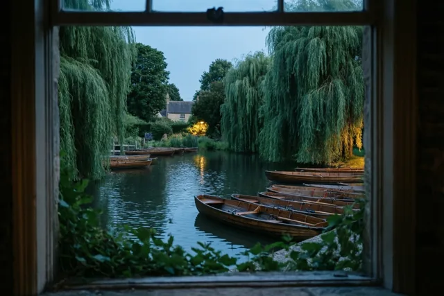 Zomerstilte langs de treurwilgen