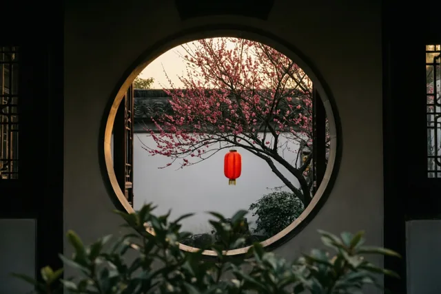 Een rond raam omlijst een tak roze pruimenbloesem en een hangende rode lantaarn voor een witte muur in de schemering, met groene bladeren op de voorgrond.