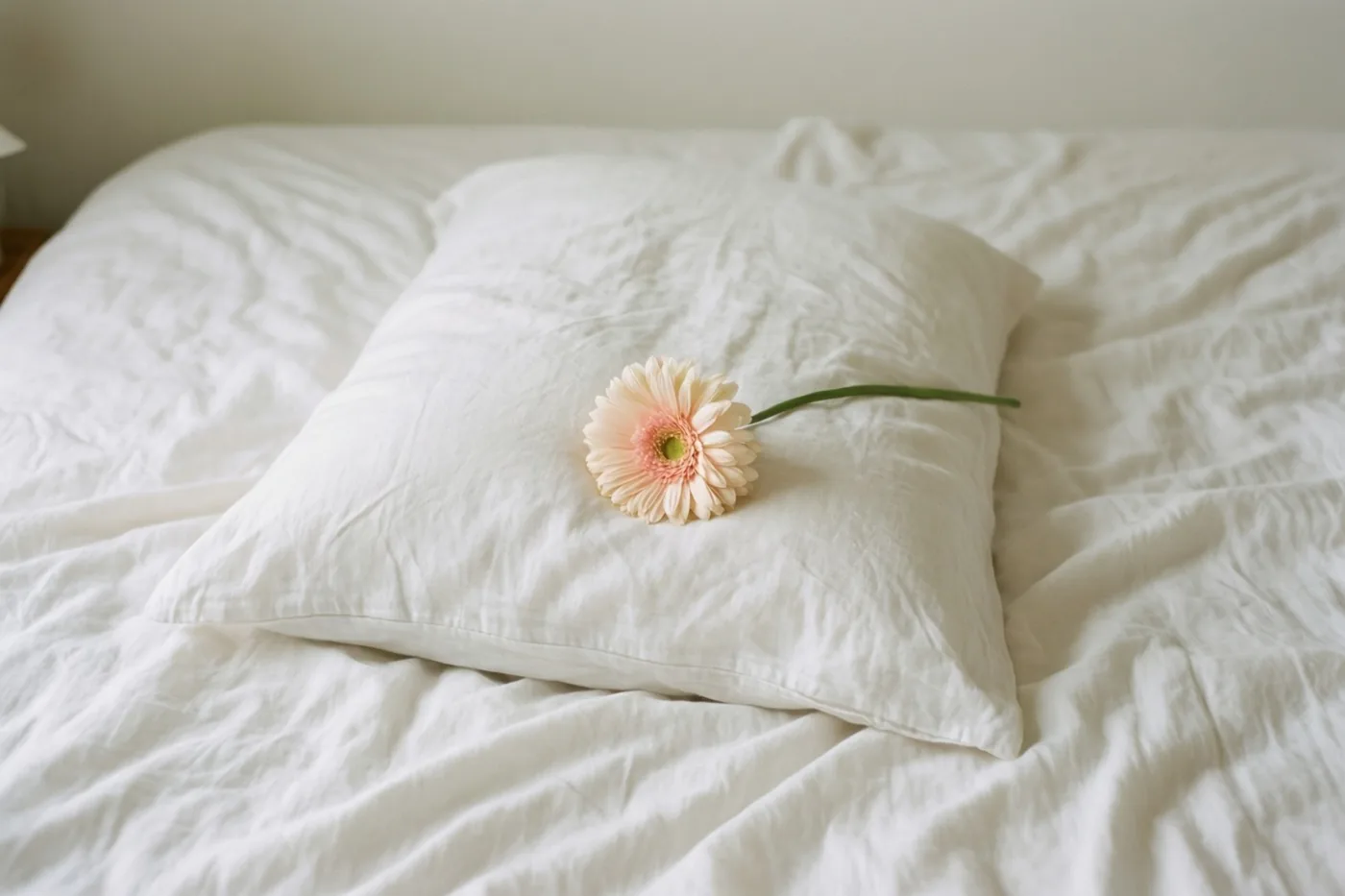 Een roze gerbera ligt op een wit kussen boven gekreukt wit beddengoed in zacht daglicht.