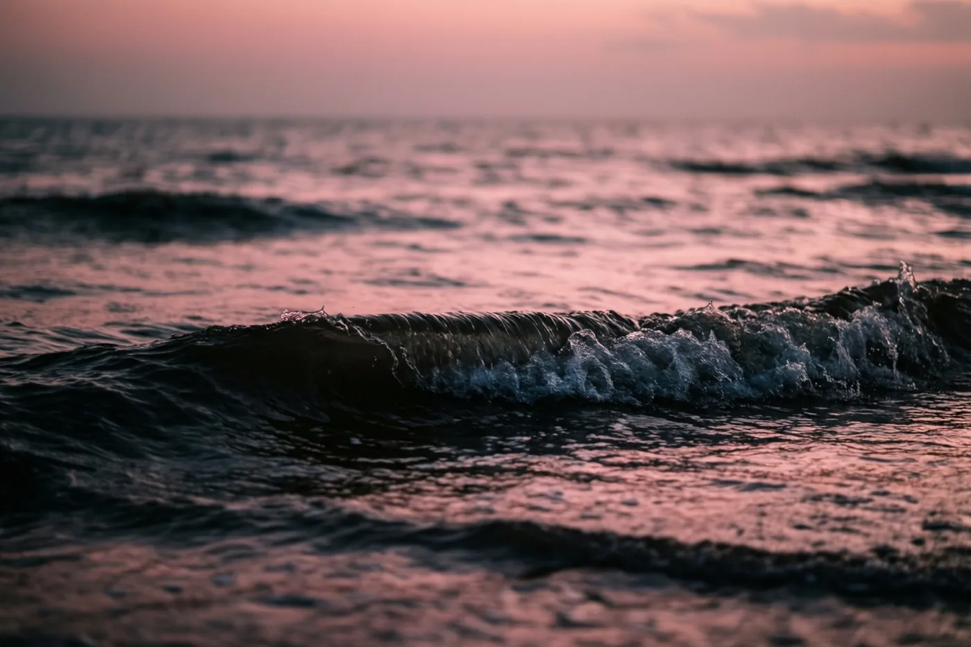 Een close-up toont zachte zeegolven bij zonsopgang met roze weerspiegelingen op donkerblauw water en wit schuim.