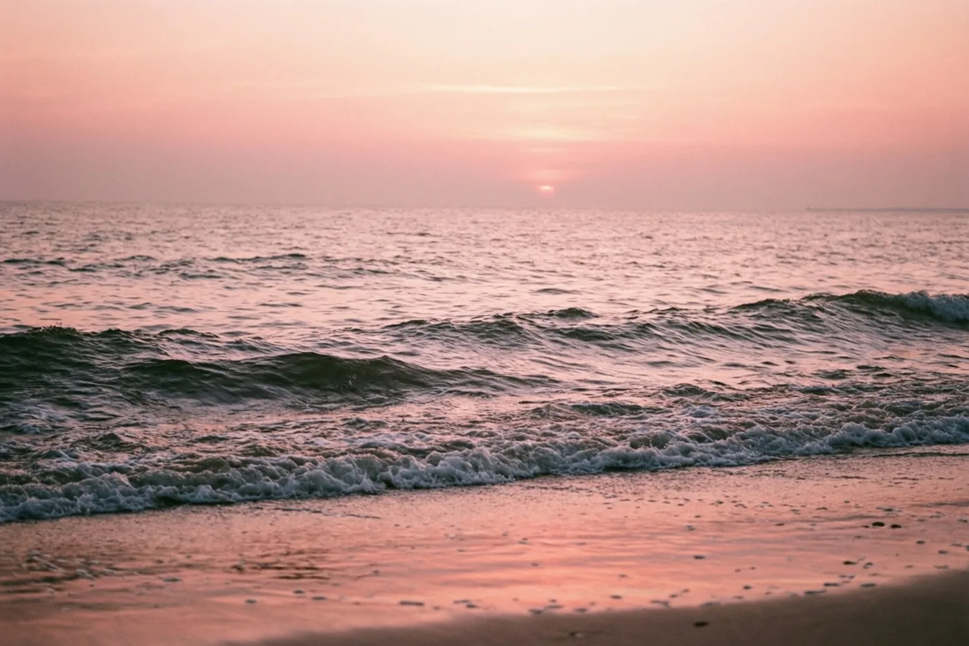 Zachte golven rollen bij zonsopgang op een zandstrand, waar een pastelroze en oranje hemel weerspiegelt in het water en het natte zand.