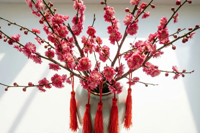 Een tak met roze pruimenbloesems, knoppen en rode zijden kwasten staat in een vaas tegen een helderwitte achtergrond.