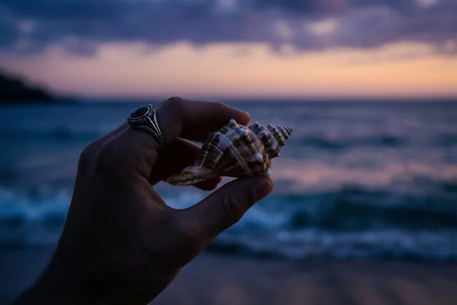 Samen dromen aan de kust