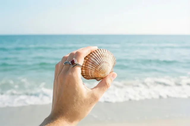 Een frisse zeebries voor jullie toekomst