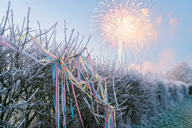 De wintertakken vieren nieuwjaar