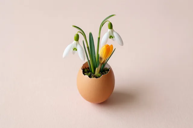 Een ei vol lente