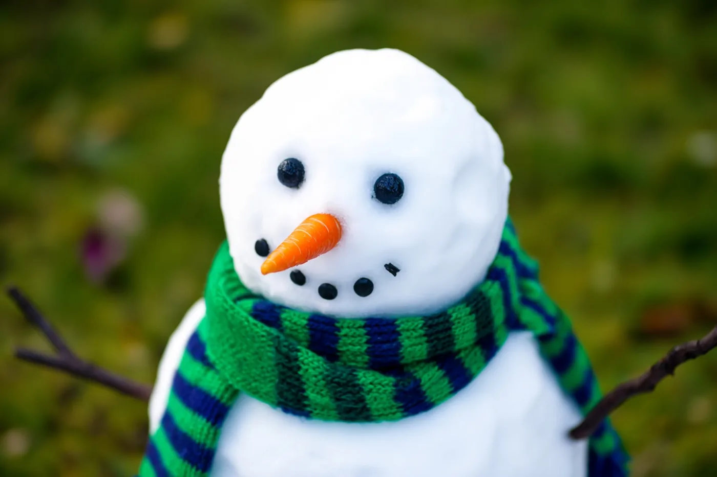 Een close-up toont een sneeuwman met een groen-blauw gestreepte sjaal en oranje wortelneus tegen een wazige groene tuin.