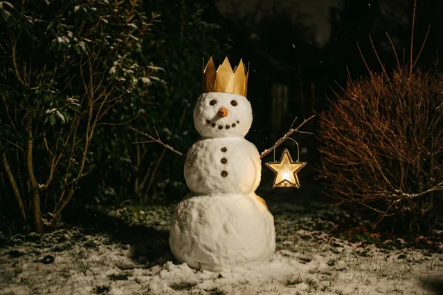 Sneeuwkoning op nachtdienst