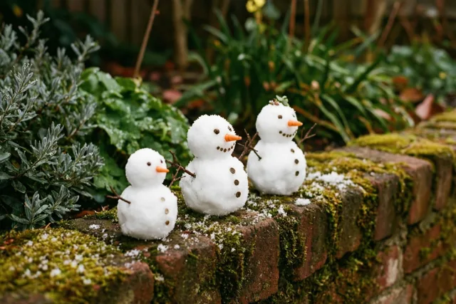 Een winters trio op het muurtje