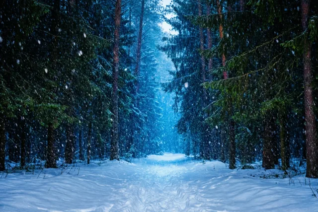 Sneeuwpad in de blauwe schemering