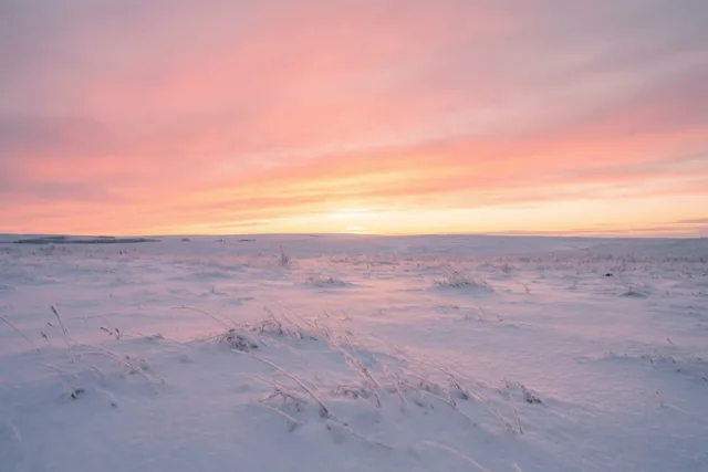 Roze gloed over de sneeuw