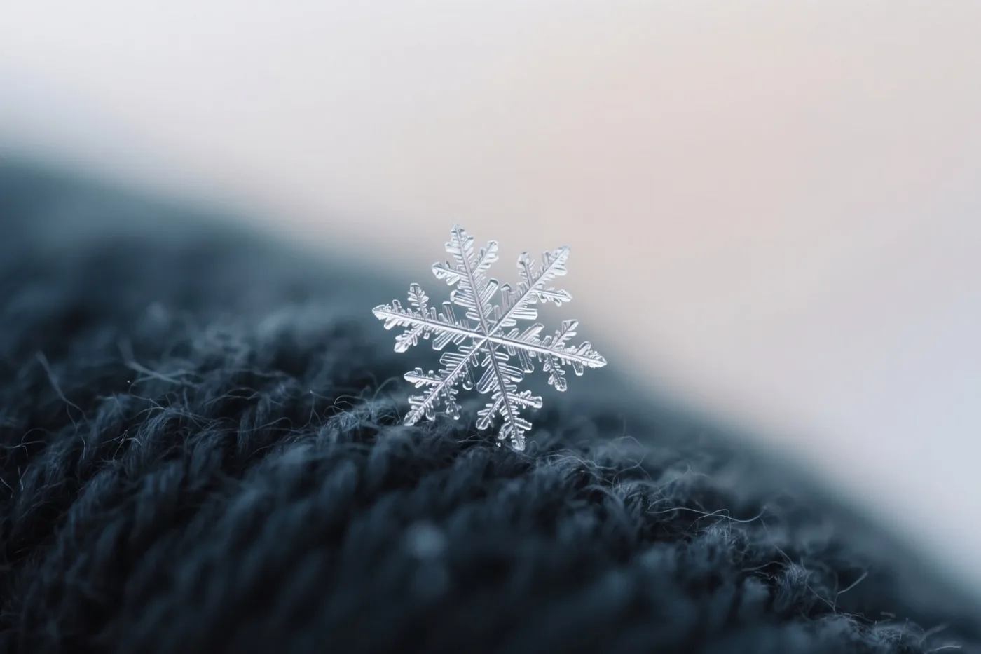 Een gedetailleerde sneeuwvlok ligt op donkere wol met een zichtbare structuur, tegen een zacht vervaagde achtergrond in koele tinten.