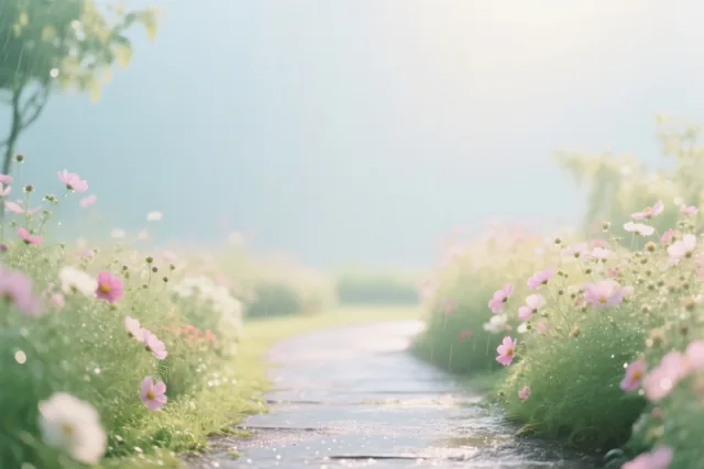 Een tuinpad met roze en witte cosmeabloemen is nat van de regen, met groen gras en onscherp gebladerte onder een heldere, nevelige hemel in zacht, warm licht.