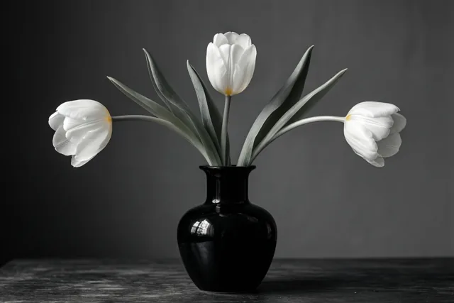 Witte tulpen, stille lente