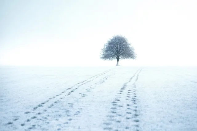 Samen door de winter