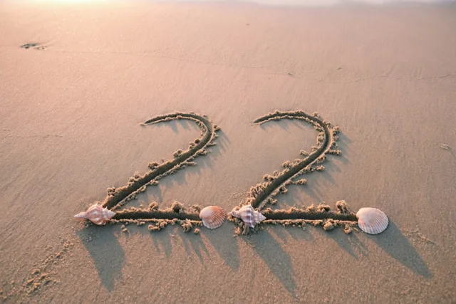 Tweeëntwintig aan zee