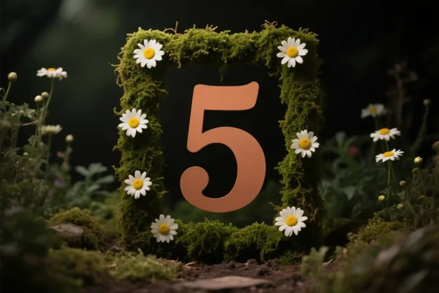 Een uitgeknipt cijfer 5 staat in een vierkante lijst van groen mos met witte madeliefjes, in een landelijke tuin met donkere aarde en onscherp gebladerte.