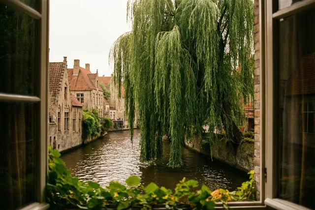 Stil uitzicht over het water