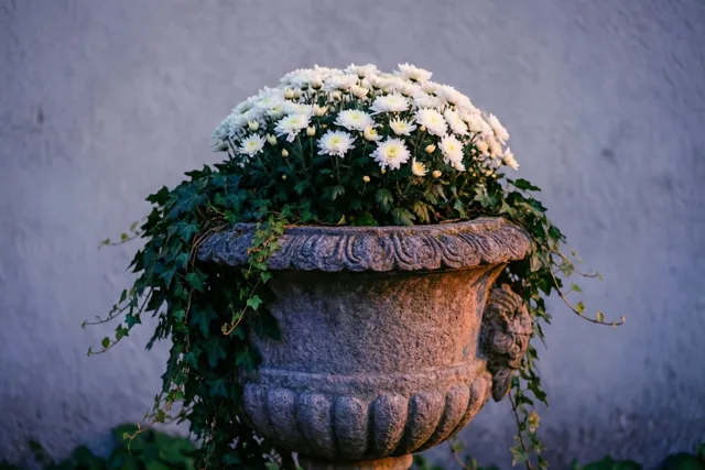 Bloemen voor een dierbare herinnering