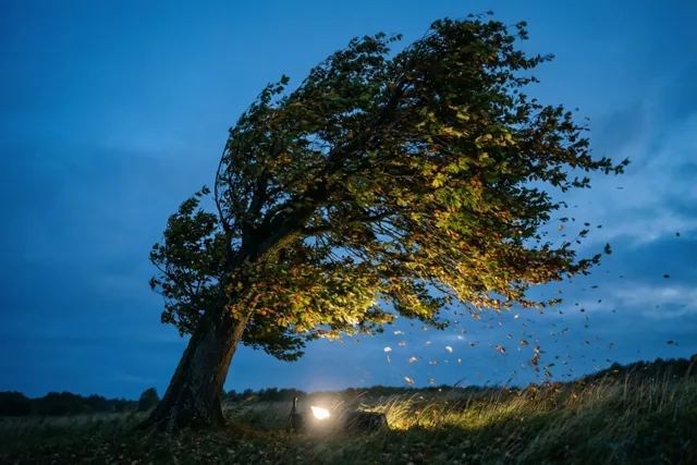 Meebuigen met een beetje licht
