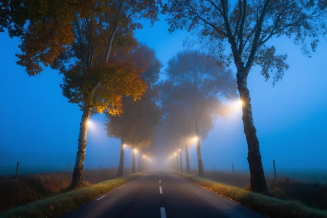 Lichtjes langs de landweg