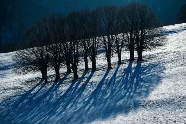 De winter tekent in blauw