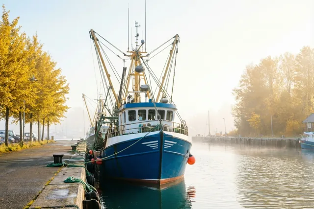 Herfstochtend in de haven