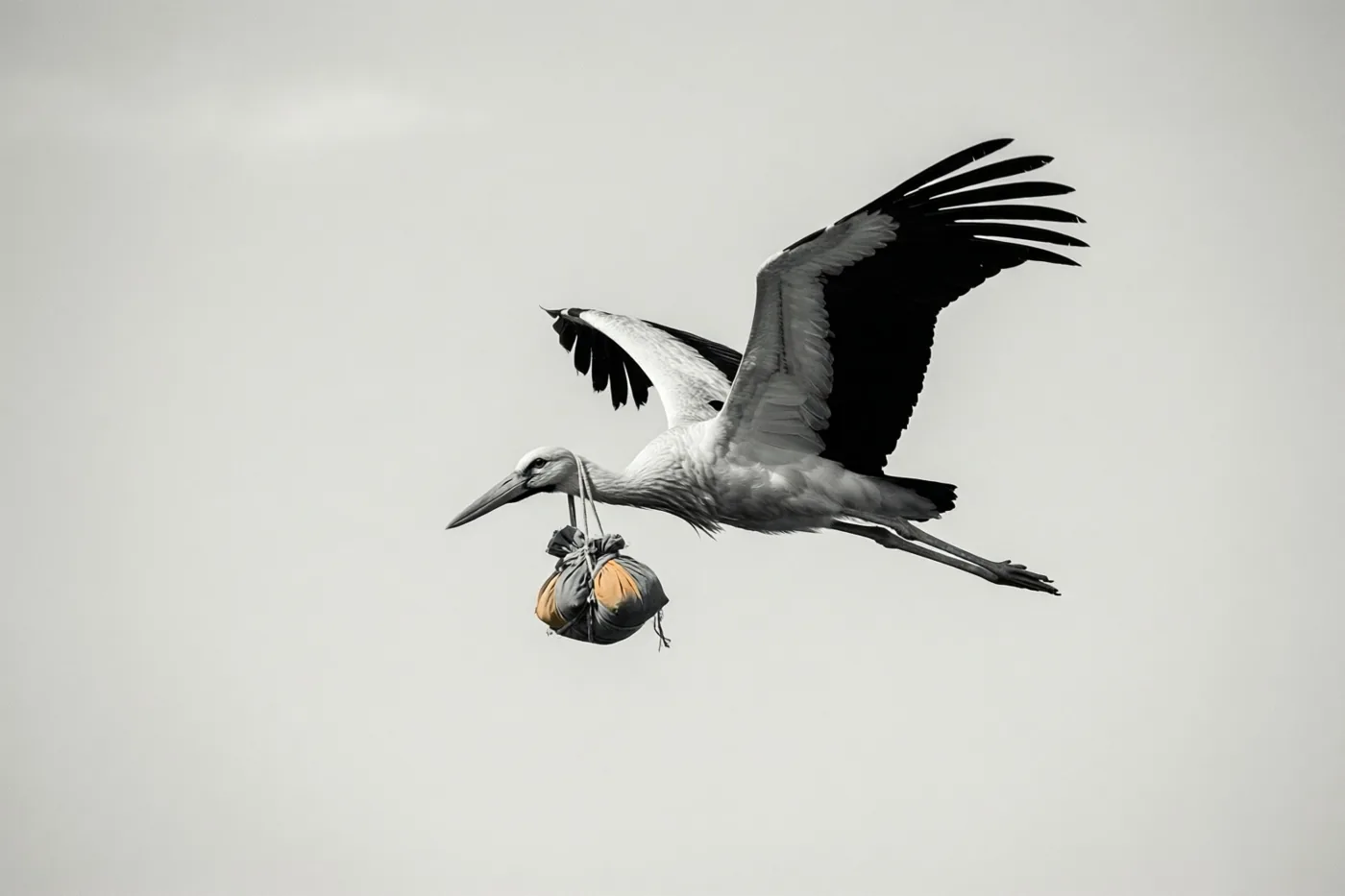 Een vliegende ooievaar draagt een klein stoffen bundeltje onder zijn snavel tegen een bleke bewolkte lucht, in een vrijwel monochroom beeld met oranje op het bundeltje.