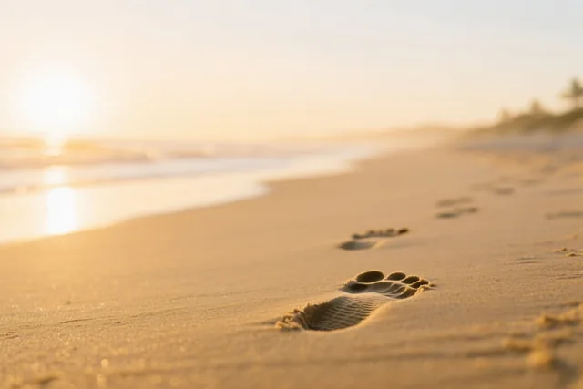 Vroeg uit de veren aan zee