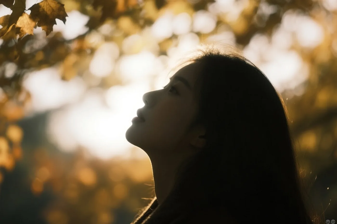 Het profiel van een vrouw is als silhouet te zien tegen onscherpe herfstbladeren waar warm, gouden zonlicht doorheen valt.