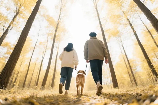 Twee mensen en een hond wandelen met de rug naar de kijker over een bladerpad tussen hoge bomen met gouden bladeren in zacht zonlicht.