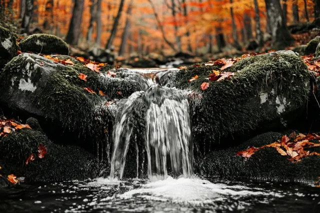 Herfstkleur bij de waterval